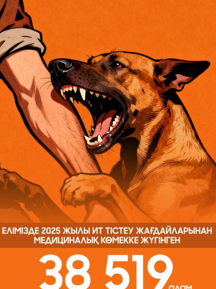 Ит тістеуі: медициналық көмекке жүгіну статистикасы