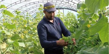 Баубақша егіп, бақуатты бол